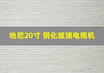 哈尼20寸 钢化玻璃电视机